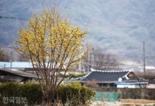 [자박자박 소읍탐방] 하늘에서 거대한 불덩이가...5만년 비밀 벗은 별똥별 마을