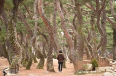 [자박자박 소읍탐방] 다시 본다 옛날 관광지… 숲과 길로 진화한 삼한시대 저수지