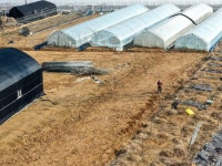 위성사진으로 보니... LH 직원들, 황폐한 논·쓰레기장 사들여