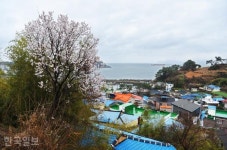 [자박자박 소읍탐방] 쪽빛 바다보다 땀으로 빚은 삶… 마을이 풍경이 된 그곳