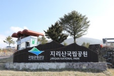 [박준규의 기차여행, 버스여행] 노고단, 쌍산재, 대숲길...산수유 아니어도 구례는 봄