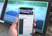 [박준규의 기차여행, 버스여행] 노고단, 쌍산재, 대숲길...산수유 아니어도 구례는 봄