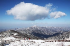 [박준규의 기차여행, 버스여행] 노고단, 쌍산재, 대숲길...산수유 아니어도 구례는 봄