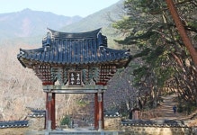 [박준규의 기차여행, 버스여행] 노고단, 쌍산재, 대숲길...산수유 아니어도 구례는 봄