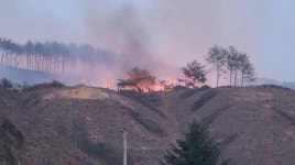 홍천 화촌면 산불 진화 안간힘… 야간 방어선 구축