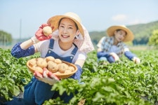 춘천시 농사에 도움 주는 미생물 나눠 드려요