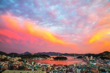 [삶과 문화] 봄, 또 여수 생각