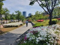 [걷고 싶은 길, 가고 싶은 거리] 변두리 시골마을길의 반전...카페 뷰티거리에 앉으면 유럽