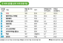 딜로이트 쿠팡, 전 세계서 가장 빠른 성장세…세계 유통 지도 꿈틀