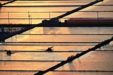 [왕태석의 빛으로 쓴 편지] 황금빛 들녘을 꿈꾸는 철원평야