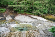 시인과 미술관 품은 사찰…누대에 오르면 청아한 물소리