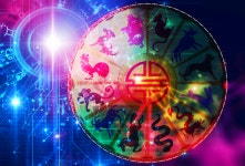 오뉴월 개 팔자 [전형일의 사주이야기]