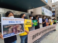 이런 역발상...대구 칠성개시장을 반려동물 거리로 만들자