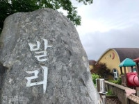 자작나무·금강송·개똥불… 한국의 발리에서 여름날의 꿈을 [자박자박 소읍탐방]