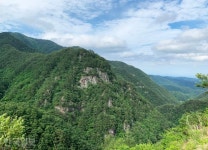 자작나무·금강송·개똥불… 한국의 발리에서 여름날의 꿈을 [자박자박 소읍탐방]