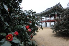 발전소에 묻혔던 서해의 비경 동백정해수욕장 돌아온다