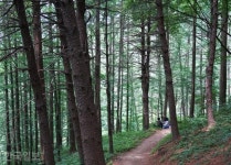 친구 불러 오붓이 즐기려 했는데… 47년 가꾼 숲 개방한 사연