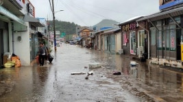 80년 만의 비.. 징글징글 전남 400㎜ 폭우로 피해 속출