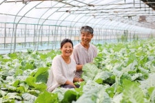 농부여서 행복한 부부 이야기 [아침을 열며]