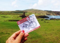 모아이와 돌하르방…라파누이에서 제주를 돌아보다 [뿌리다와 탕탕의 지금은 여행 중]