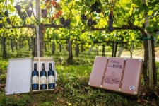 주식회사 소믈리에, 헝가리 소재 ‘Bock 와이너리’ 독점 계약 체결, 국내 유통 본격화