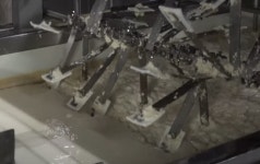 1년 만에 500만 개 팔린 두부면... 공장에는 직원이 달랑 8명뿐