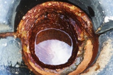 천연기념물 약수 로드 “물맛보다 가는 길이 약수”