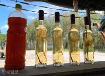 척야산 메아리친 조국愛… 살포시 내려앉은 가을愛 [자박자박 소읍탐방]