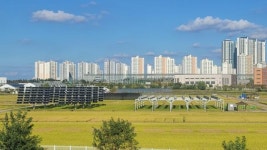 농사도 짓고, 발전 사업도 한다?… 태양광 신기술 효율성에 방점