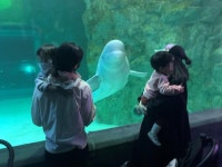 바다쉼터는 인간이 고래에게 진 빚을 갚는 유일한 길