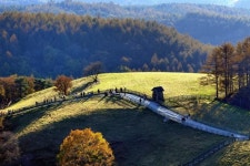 [왕태석의 빛으로 쓴 편지] 만추를 살찌우는 대관령 양떼목장