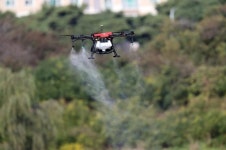 충북 음성 메추리농장서 고병원성 AI의심 폐사 발생