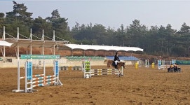 말의 고장 영천서 영천대마기 전국종합마술대회 성료