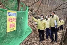 되살아난 ASF 공포… 강원 이어 충북서도 멧돼지 폐사체