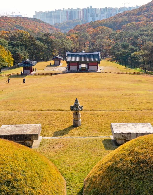 선릉 훼손 사건, 경찰 수사 진행 중 - 우리 역사와 문화를 대표하는 중요한 유적지에 주먹 크기의 구멍 발견, 용의자 추적 중