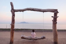 차밭·해변·바다... ‘찰칵찰칵’ 보성 인생사진 명소 [박준규의 기차여행, 버스여행]