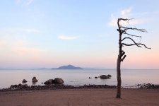 차밭·해변·바다... ‘찰칵찰칵’ 보성 인생사진 명소 [박준규의 기차여행, 버스여행]