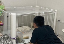 [토끼랑 산다] 두 마리 토끼를 잡았어요