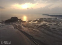 바다 질주하는 경운기 부대… 노을빛 촉촉한 서천갯벌 [자박자박 소읍탐방]