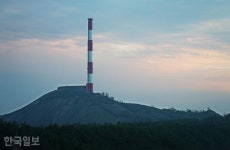 바다 질주하는 경운기 부대… 노을빛 촉촉한 서천갯벌 [자박자박 소읍탐방]