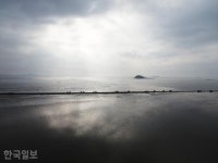바다 질주하는 경운기 부대… 노을빛 촉촉한 서천갯벌 [자박자박 소읍탐방]