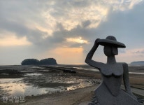 바다 질주하는 경운기 부대… 노을빛 촉촉한 서천갯벌 [자박자박 소읍탐방]