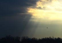 [왕태석의 빛으로 쓴 편지] 음지와 양지... 그 간극이 뭐길래