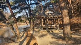 영주 소수서원 둘레길 걸으니 세계유산 보이네