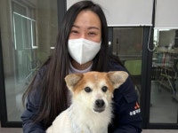 안줏감용 끌려가다 2만원에 구조… 10년 보호소 생활 접고 반려견 됐어요 [유가소]