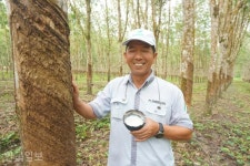 [르포] “11년째 이산가족” 적도 섬, 세계 유일의 한국인 고무 농장