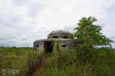 [르포] “11년째 이산가족” 적도 섬, 세계 유일의 한국인 고무 농장