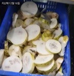 곰팡이 배추 김치 업체 사과했지만...불똥 튄 유통업계 빠른 손절
