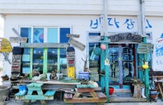 군소 할머니 삶 켜켜이... 동백·풍란 어우러진 통영 앞바다 그 섬 [자박자박 소읍탐방]