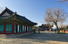 군소 할머니 삶 켜켜이... 동백·풍란 어우러진 통영 앞바다 그 섬 [자박자박 소읍탐방]